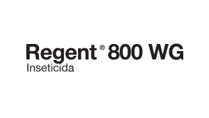 Regent 800 WG